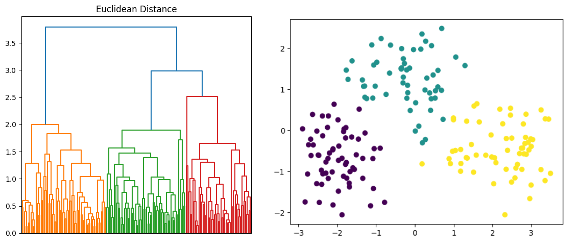 Clustering Project